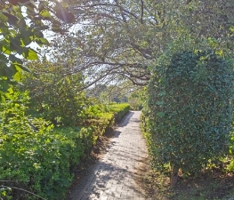 黒目川沿いの遊歩道。お散歩に最適!